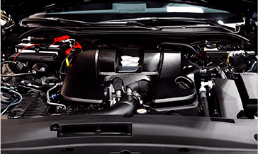 shutterstock_2493118539